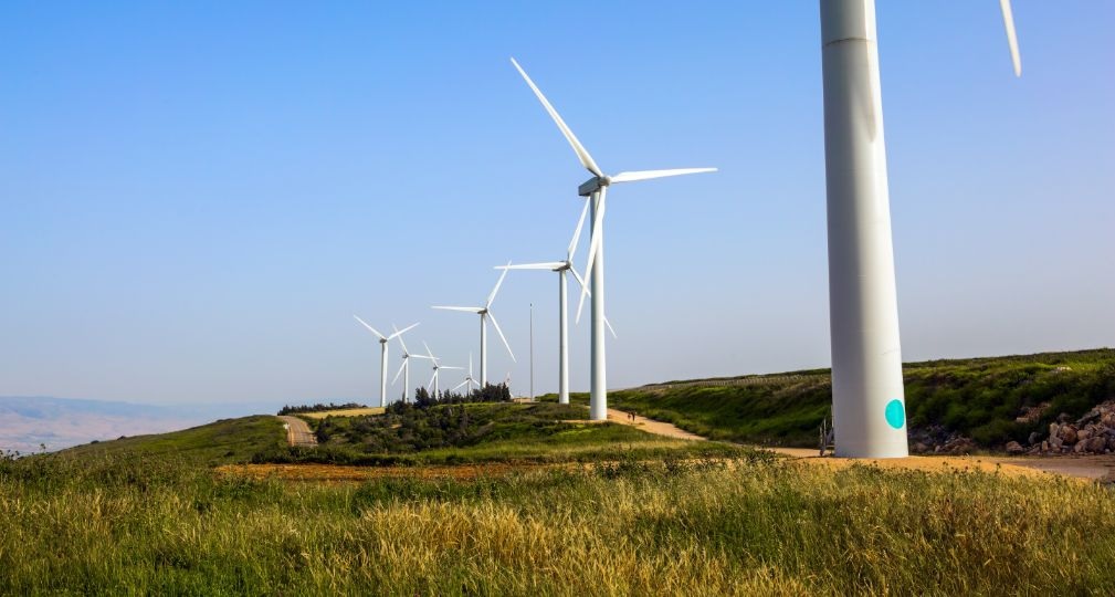 Фото: Shutterstock